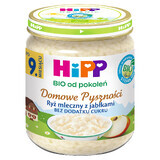 HiPP Homemade Delights Bio, orez lăptos cu mere, după 9 luni, 200 g