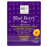 New Nordic Blue Berry Plus, 120 comprimés