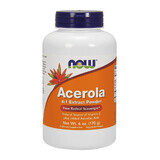 Now Foods Acerola 4:1 Extrait en poudre, 170 g