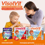 VisolVit Junior Orange, effervescent powder, orange flavor, 30 sachets