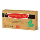 Ginseng 500 Plus, liquide, 10 ml x 10 flacons 