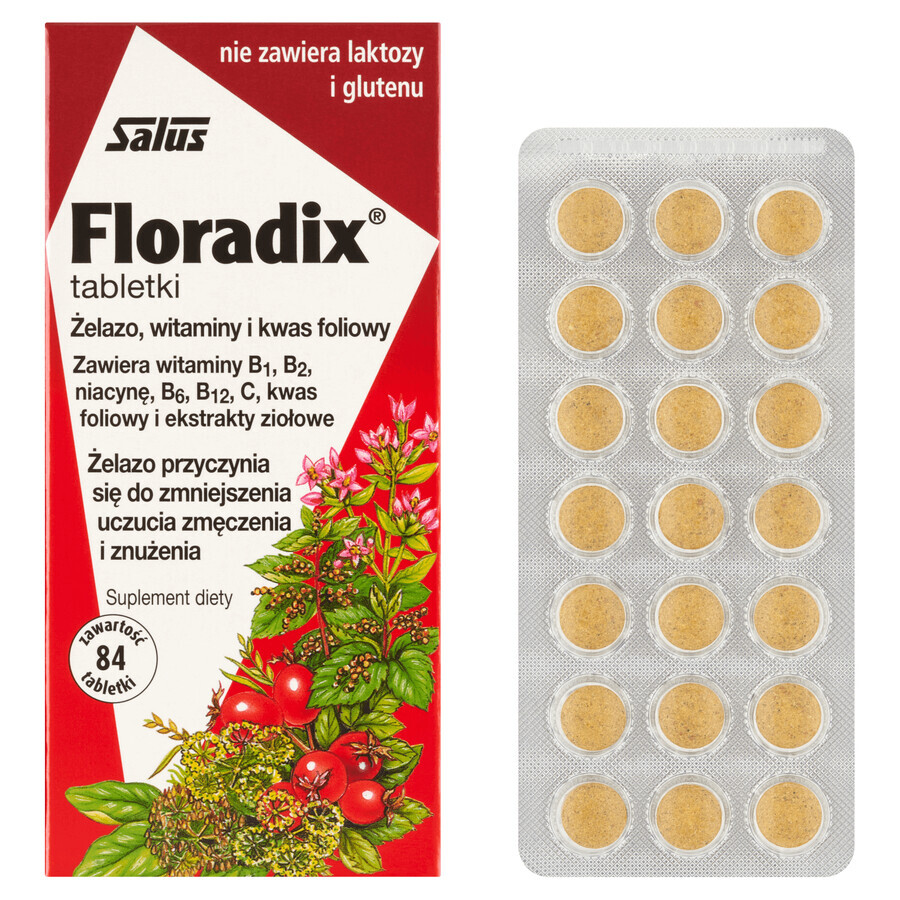 Floradix Fer et Vitamines, 84 comprimés