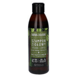 Barwa Ziołowa Tartak i Hop, shampooing aux plantes pour cheveux cassants et abîmés, 250 ml