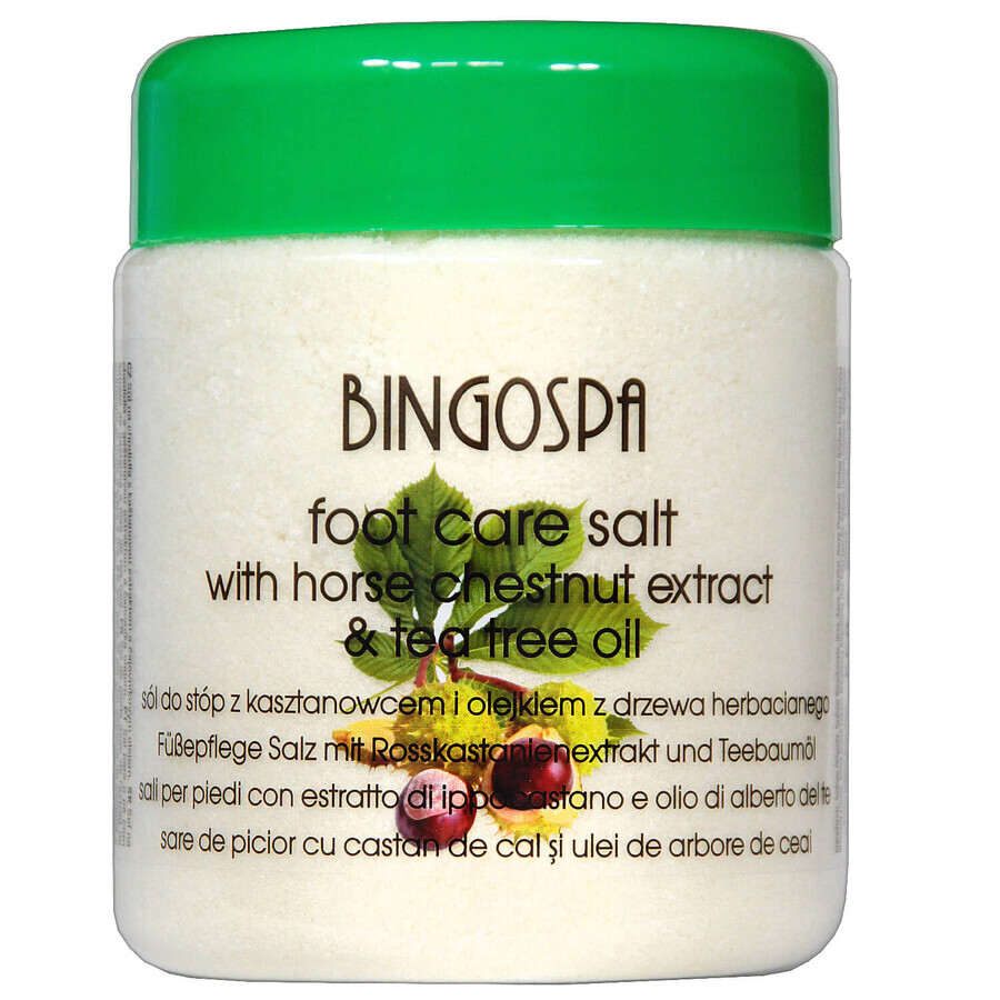 Bingospa, sale per piedi con estratto di ippocastano e olio di tea tree, 550 g