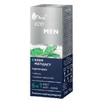 AVA Eco Men, crème régénérante et matifiante, 50 ml