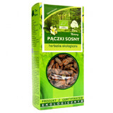 Darya Natury Pączki Sosny (Bourgeons de pin), thé biologique, 50 g