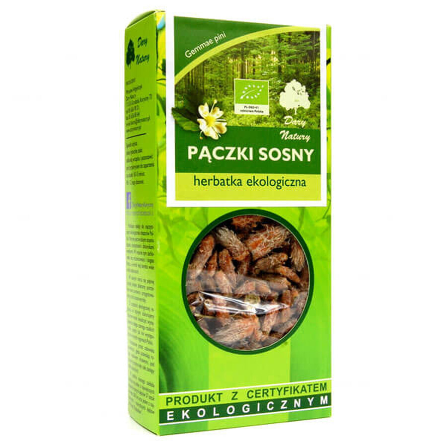 Darya Natury Pączki Sosny (Bourgeons de pin), thé biologique, 50 g