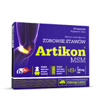 Olimp Artikon MSM, 30 capsules