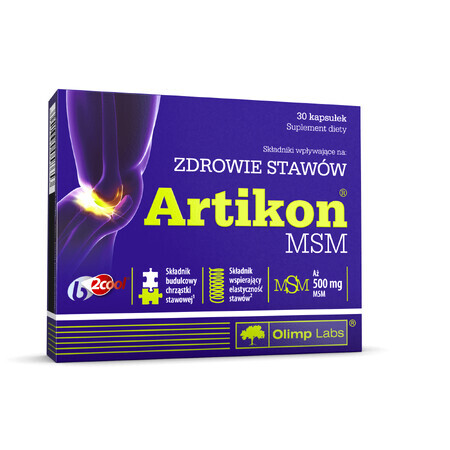 Olimp Artikon MSM, 30 capsules