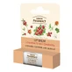 Pharmacie verte, baume à lèvres, airelles et canneberges, cocktail de vitamines, SPF 10, 3.6 g