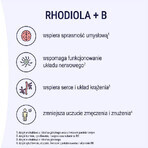 Naturell Rhodiola + B, 60 comprimidos