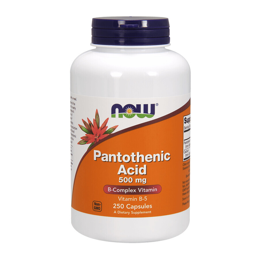 Now Foods Pantothenic Acid, Acide pantothénique 500 mg, 250 gélules végétales