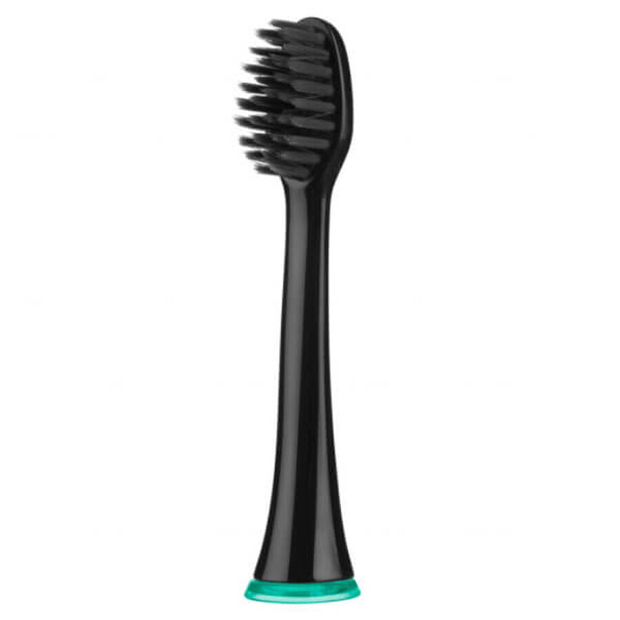 Seysso Carbon, embouts de remplacement pour brosse à dents sonique, avec charbon actif, antibactérien, 2 pièces