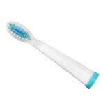 Embouts de brosse à dents Meriden Sonic + Smart, blanc, 4 pièces