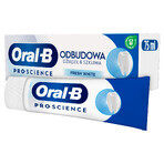 Oral-B Gum &amp; Enamel Repair, dentifrice, Fresh White, 75 ml