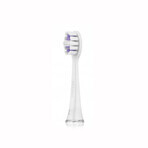 Seysso Carbon Basic, brosse à dents sonique, blanche, 1 pièce