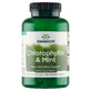 Swanson Chlorophyllin &amp;amp; Mint, Peppermint Chlorophyll, 500 Chewable Tablets
