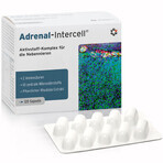 Mito-Pharma Adrenal-Intercell, 120 capsules