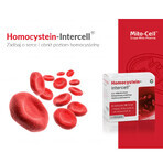 Mito-Pharma Homocysteine Intercell, 90 gélules