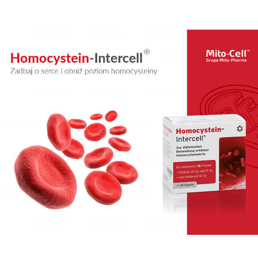 Mito-Pharma Homocysteine Intercell, 90 gélules