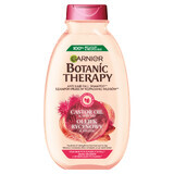 Garnier Botanic Therapy, shampooing fortifiant, huile de ricin et amande, 400 ml