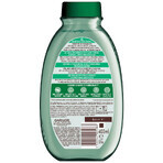 Garnier Botanic Therapy, shampooing rafraîchissant pour cheveux normaux à tendance grasse, thé vert, 400 ml