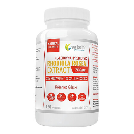 Wish, Rhodiola rose extract, Rhodiola rosea + L-leucine + prebiotic, 120 gélules