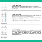 Liver-Screen test, prueba para evaluar el estado fisiológico del hígado, 1 ud.