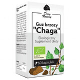 Gift of Nature Chaga Birch Tumour, 60 gélules