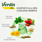 Verdin Fix met groene thee, 20 zakjes