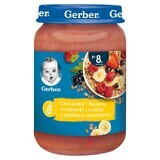 Gerber Oatmeal Banana Strawberry Raspberry After 8 Months 190g