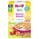 HIPP Bio Muesli multigrains, fraises et framboises, sans sucre ajouté, à partir de 12 mois, 200 g