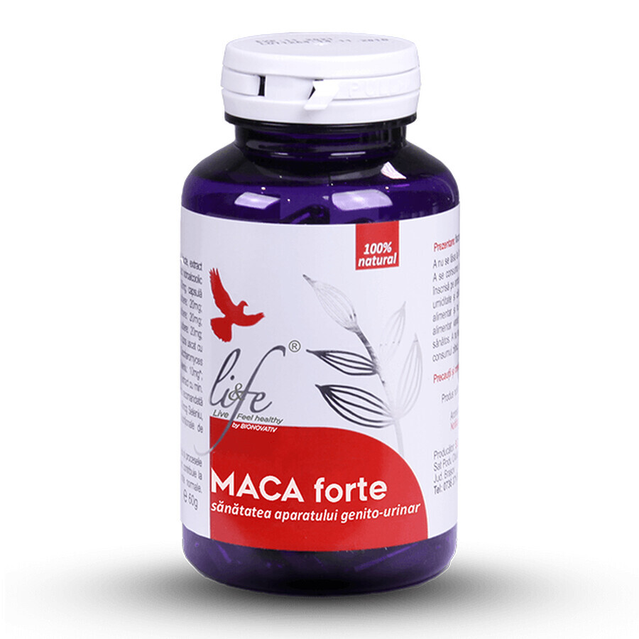 Maca Forte, 60 gélules, Dvr Pharm