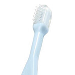 BabyOno, brosses à dents pour bébés et enfants, 550/02, bleu, 3 pièces