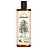 Produits Bonifrater Alchimie des arbres, shampooing contre la chute des cheveux affaiblis, 200 ml