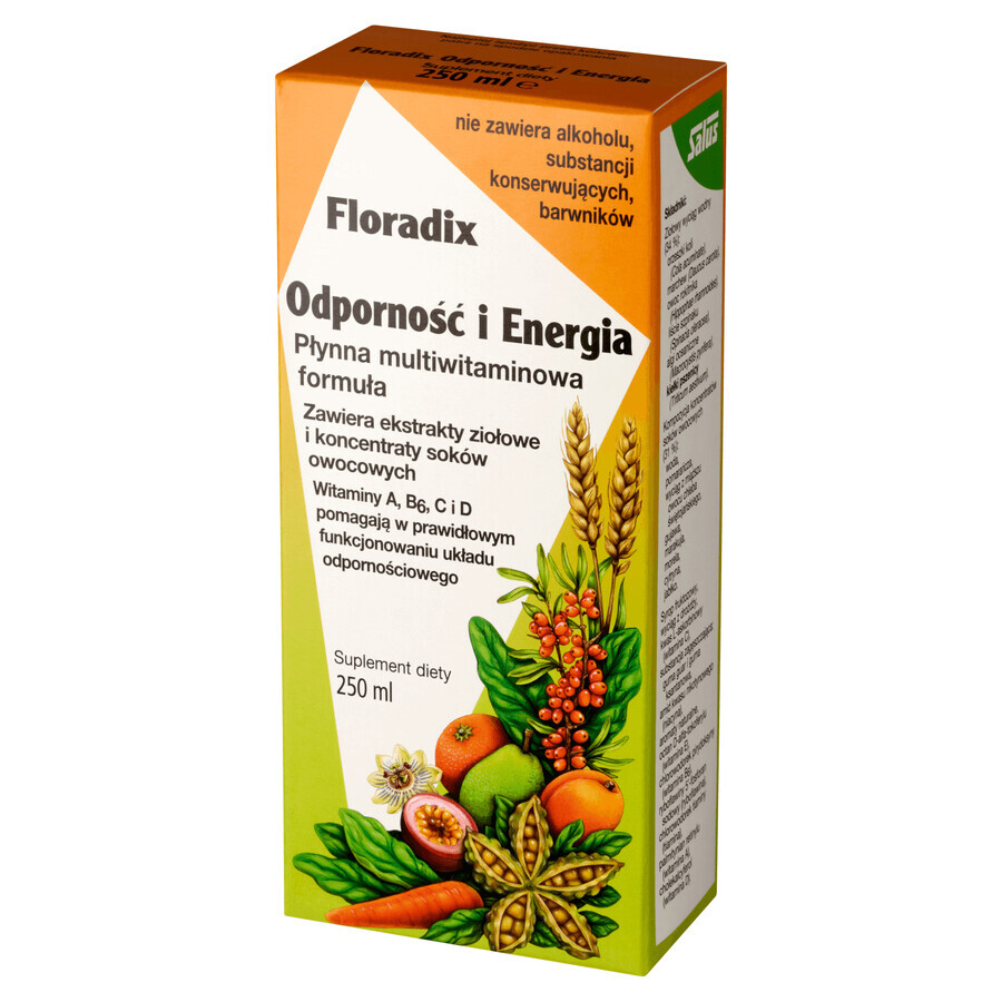 Floradix Immunité et énergie, 250 ml