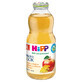 HiPP Tea &amp;amp; Juice Bio, th&#233; au fenouil avec jus de pomme, apr&#232;s 4 mois, 500 ml