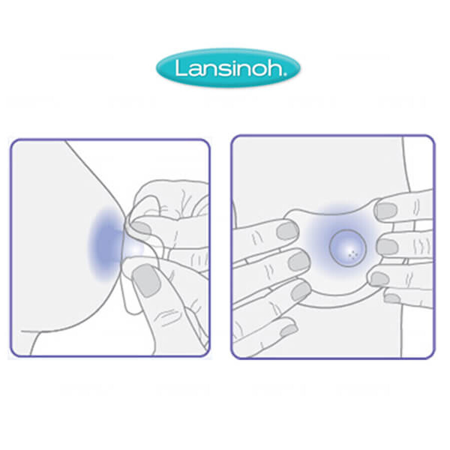 Lansinoh, boucliers de lactation, 20 mm, 2 pièces