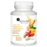 Aliness Vitamine C 1000 mg Plus, 100 gélules végétales