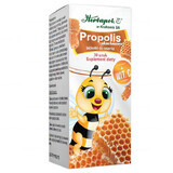 Herbapol Propolis avec pollen, 30 pastilles