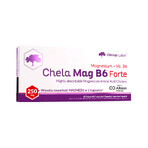 Olimp Chela-Mag B6 Forte, 60 gélules