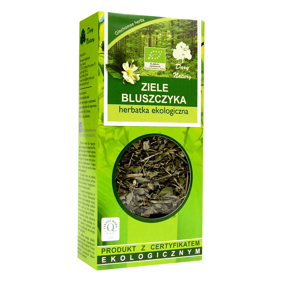 Gifts of Nature Ivy Herb, té orgánico, 25 g