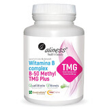 Aliness Vitamin B Complex B-50 Methyl TMG Plus, 100 gélules végétales