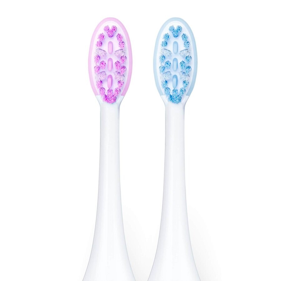 Vitammy Aurum Rose, brosse à dents sonique, rose + étui, 1 pièce