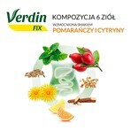 Verdin Fix aux agrumes, 20 sachets