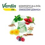 Verdin Fix with berries, 20 sachets