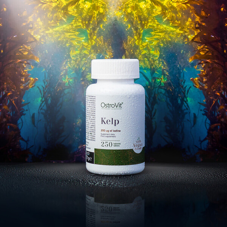 OstroVit Kelp, 250 comprimés