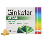 Ginkofar Vital, 60 comprimés pelliculés