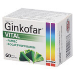 Ginkofar Vital, 60 comprimés pelliculés