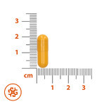 SEMA Lab Vitamine C 1000 mg, 10 gélules de cellulose